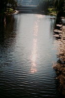 21_shimmering-water-light.jpg